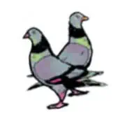 palomas